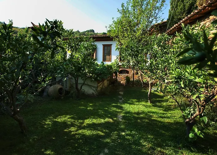Bed and Breakfast Terrace Sirince