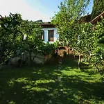 Bed & Breakfast Terrace Sirince