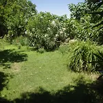 Bed & Breakfast Terrace Sirince
