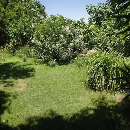 לינה וארוחת בוקר Terrace Sirince