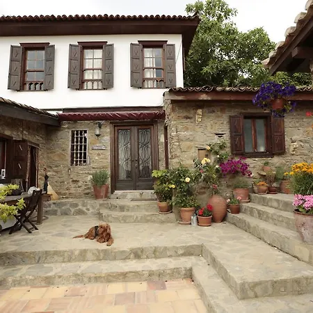לינה וארוחת בוקר Terrace Sirince *