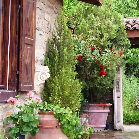 Bed & Breakfast Terrace Sirince *