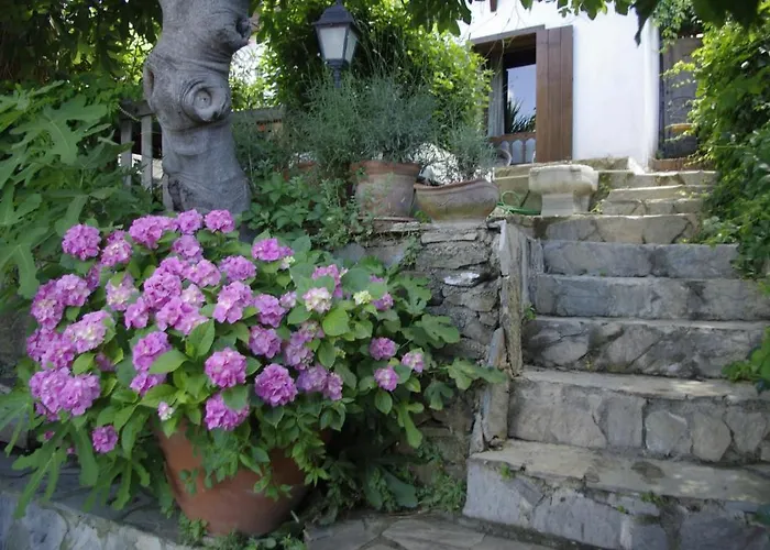 Terrace Sirince Panzió
