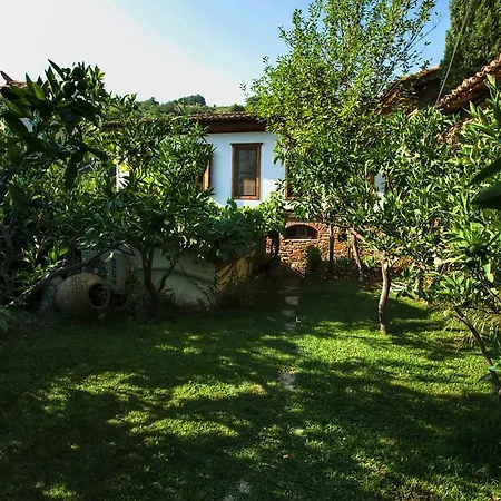 Frühstückspension Terrace Sirince