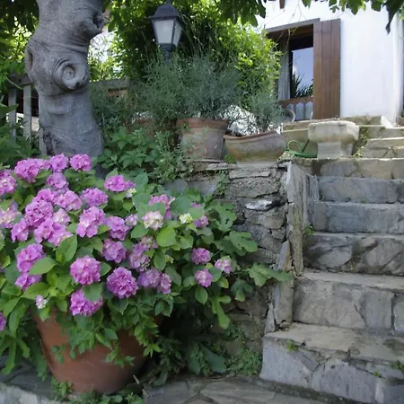 Terrace Sirince Frühstückspension