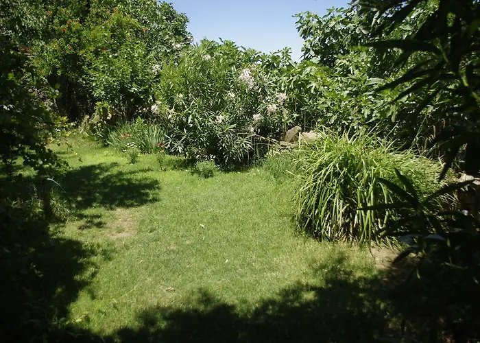 Bed & Breakfast Terrace Sirince