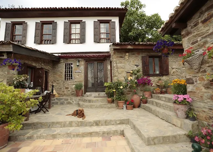 Bed & Breakfast Terrace Sirince *
